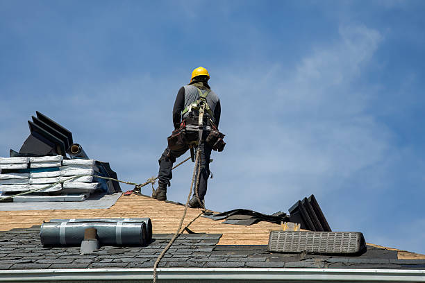 Professional Storm Damage Roof Repair technician working in Jasper, TX